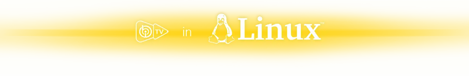 iboPlayer Linux